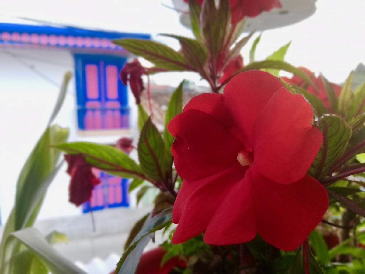 Posada Elenita ซาเลนโต ภายนอก รูปภาพ